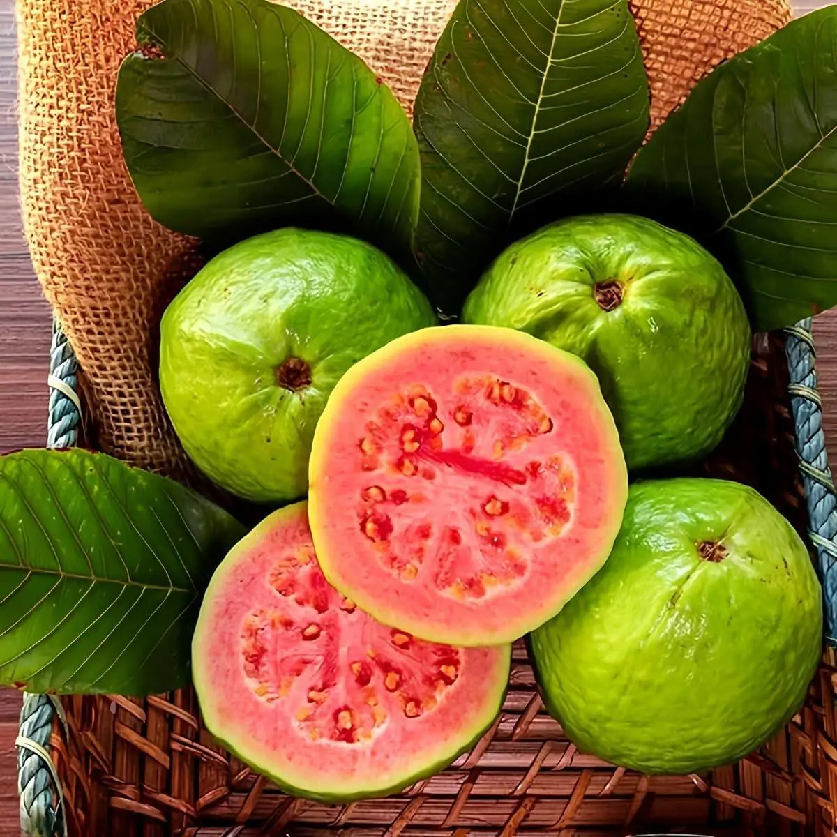 50 Seeds – Pink Guava Seeds for Planting – Suitable for Pots, Greenhouses, and Outdoor Gardens