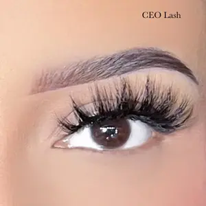 CEO Lash