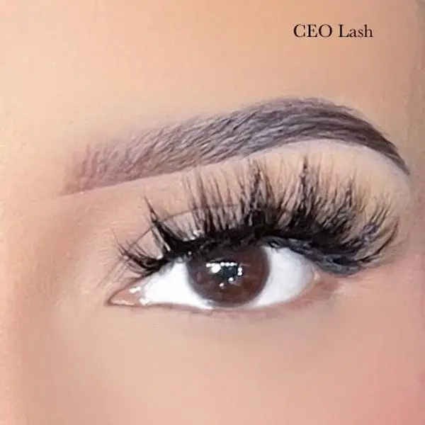 CEO Lash CEO Lash