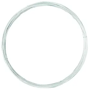 Mazeland  12.5 Gauge Galvanized 10 lbs Coil