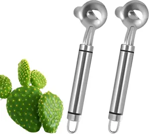 TikTok Viral! 2 PCS Cactus Peeler Spoon,Stainless Steel Cactus Paring Knife and Peeler Spoon,Chinese Noodle Cutter for Cooking Kitchen Gadgets,Utensils & Gadgets for Home Use, Vegetable Cutter Multifunctional Cactus Multi-function Cactus