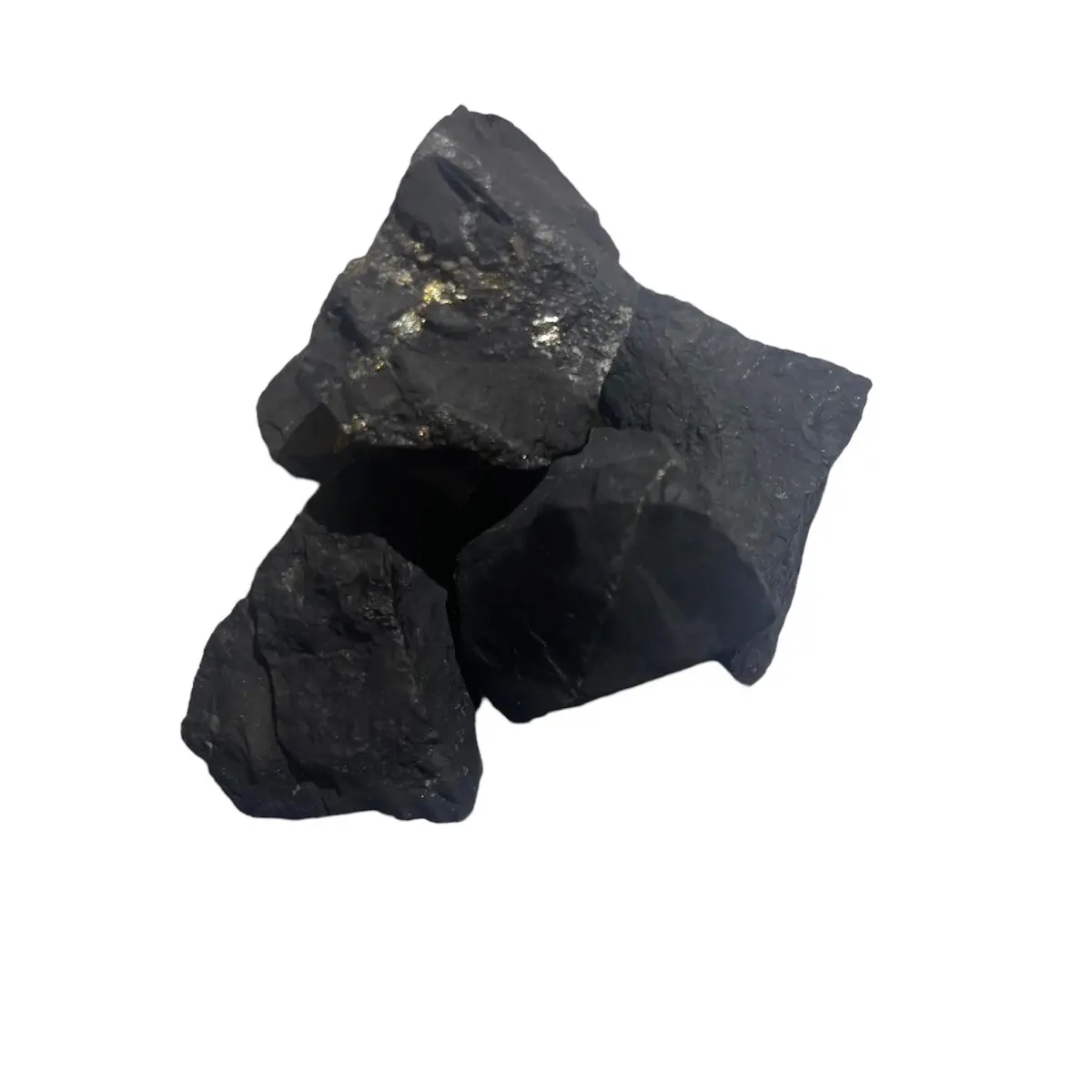 1 shungite crystal