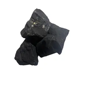 1 shungite crystal