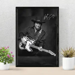 Waylon Jennings Playing Guitar Retro Poster Decor Artwork Ornaments Decoration