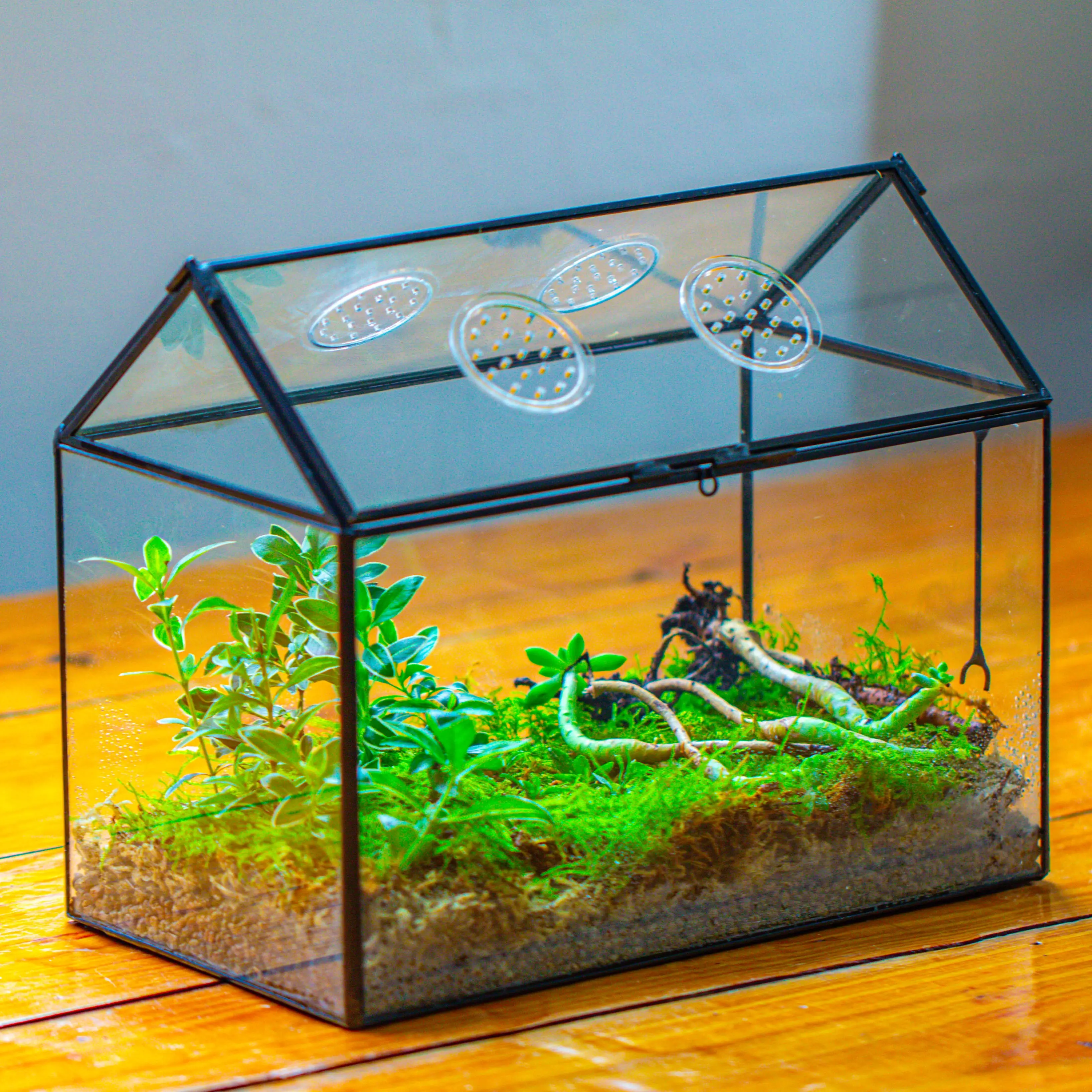 NCYP Glass Terrarium with Lid and Air Holes, for Moss, Fern, Tropical Plants, Snail, 10.2" x 5.9" x 8.2" House Shape Geometric Planter, Home Tabletop Decoration, Terrarium Only