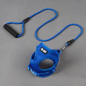 Safe and Secure dog harness and leash
