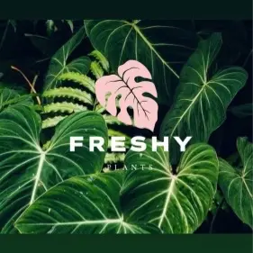 Freshy plants Florida