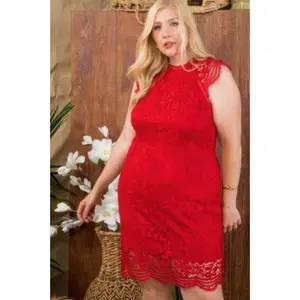 Lace Crochet Mini Raglan Dress With Zipper Back