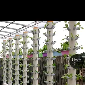 Highproduction Hydroponic System for Small Spaces - Efficient Vertical Gardening Solution