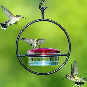 Hummingbird Feeder, Hanging Hummingbird Feeder, Metallic Bottle Humming Bird Feeder with Circular Frame and Perch, Bird Feeding Tool for Outdoor Garden Yard
