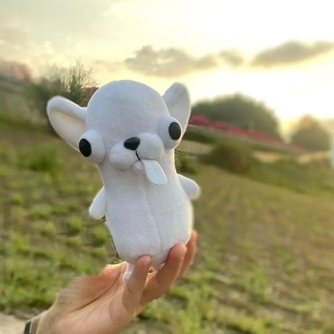 White Chihuahua