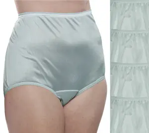 Nylon Brief Panty (Style 331/Plain Jane) 4 Pack in Blue Spruce