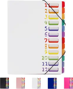 24 Pockets Expanding File Folder Organizer,Accordion File Organizer,A4 Letter Size,Rainbow Tab, for /Office/School Document Organizer (White)