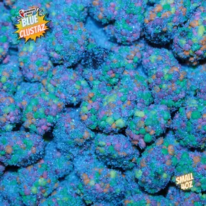4oz Blueberry Clustaz by ET Dulceria Candy Snack Sweet sour blue Bonbon Candies Not Extra sour Vitamin Sugar Artificial sour blue razz Sweet Cotton Candy Bursts Snack