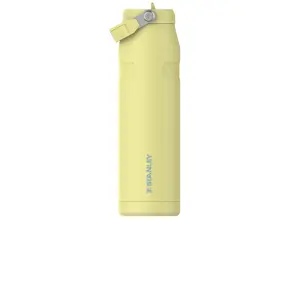 STANLEY The Iceflow Aerolight Bottle Flip Straw 2.0 36 Oz in Pomelo Unisex