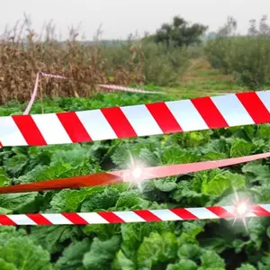 Anti-Bird Repellent Strip Roll, Garden Farm Anti-Glare Band, Flashing Band to Scare Birds Away, Bird Deterrent Belt