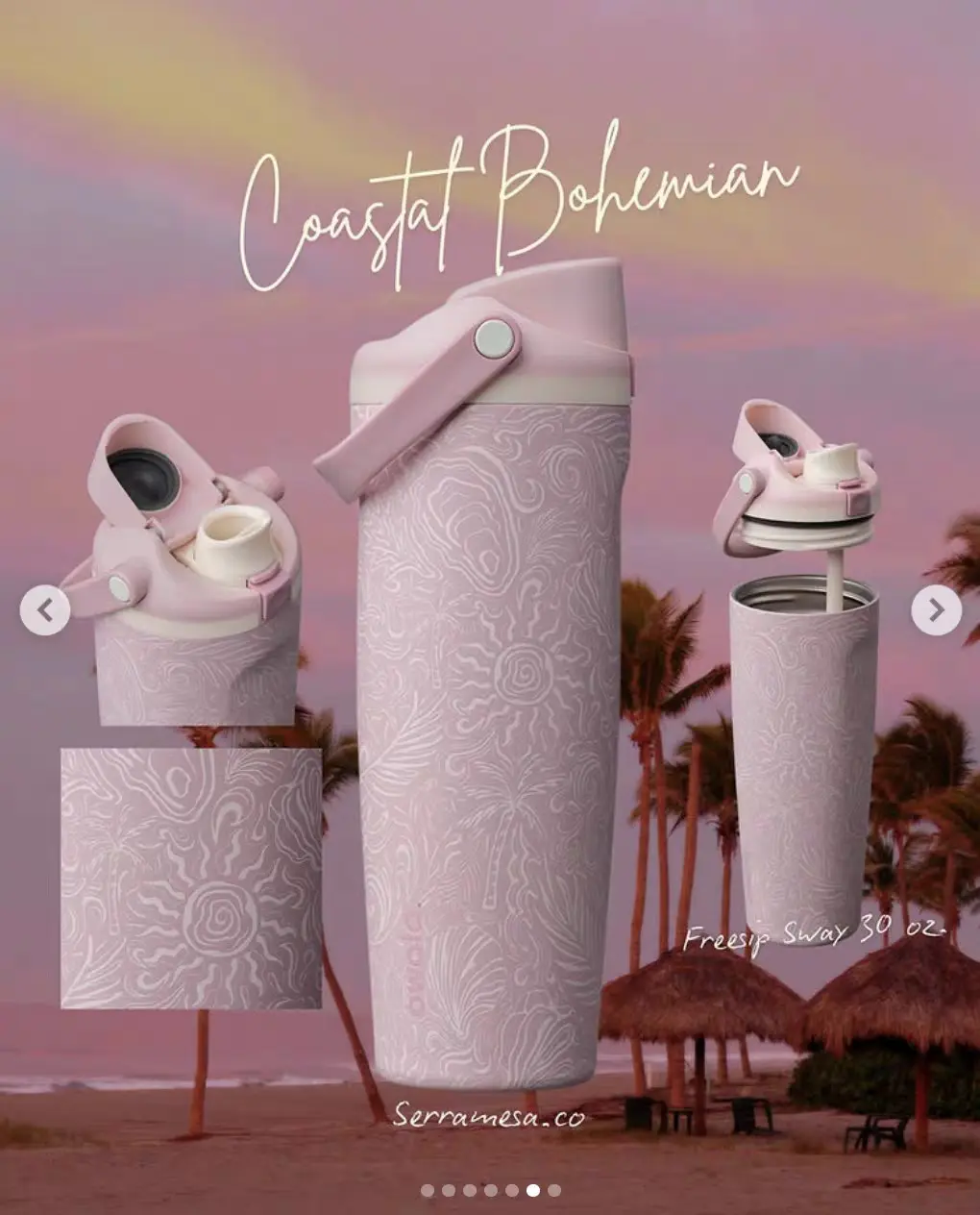 Owala Birthday Bash 2026 Coastal Bohemian 30oz Tumbler – Limited Edition Insulated Stainless Steel Travel Cup with Straw