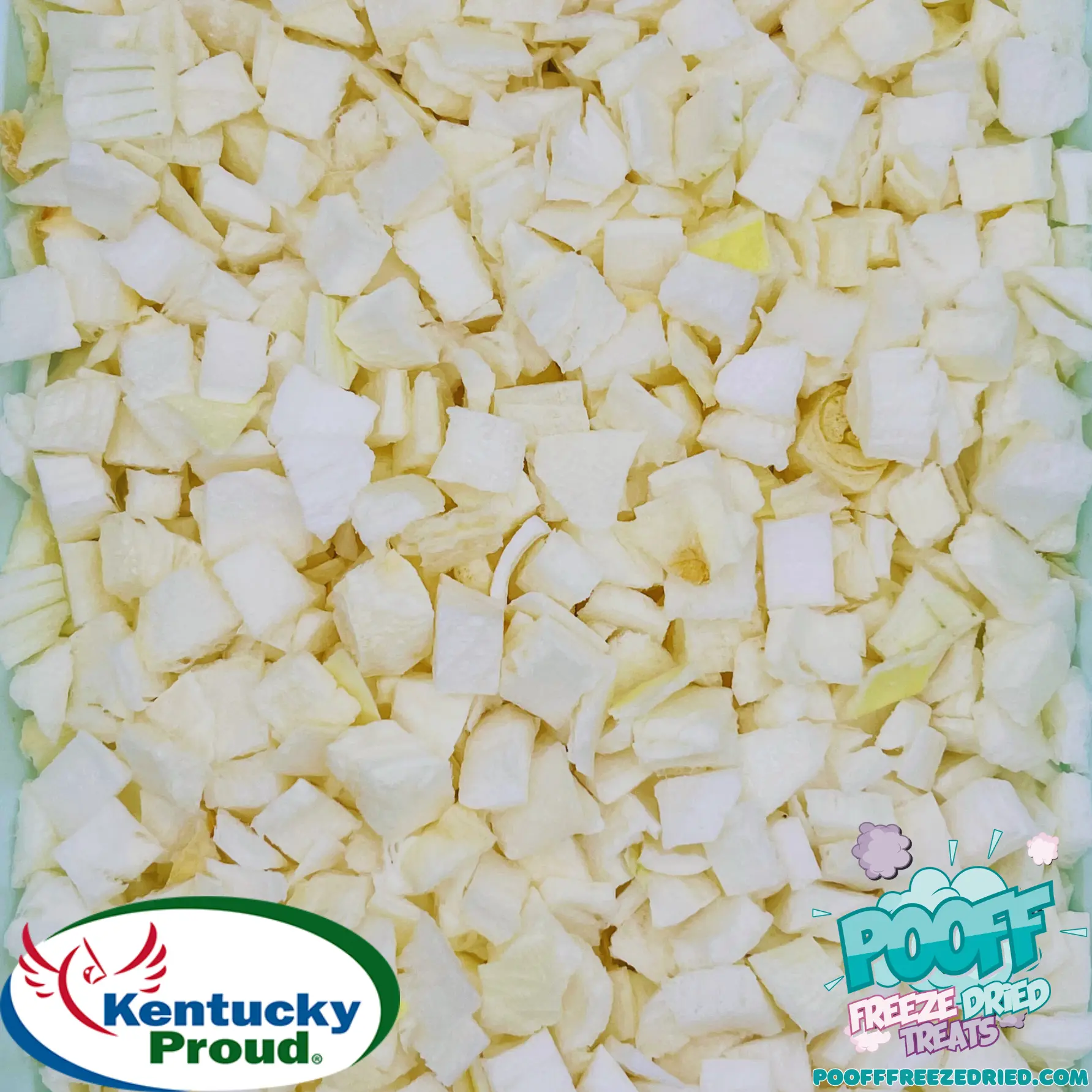 Freeze Dried Onion Freeze Dried Onion