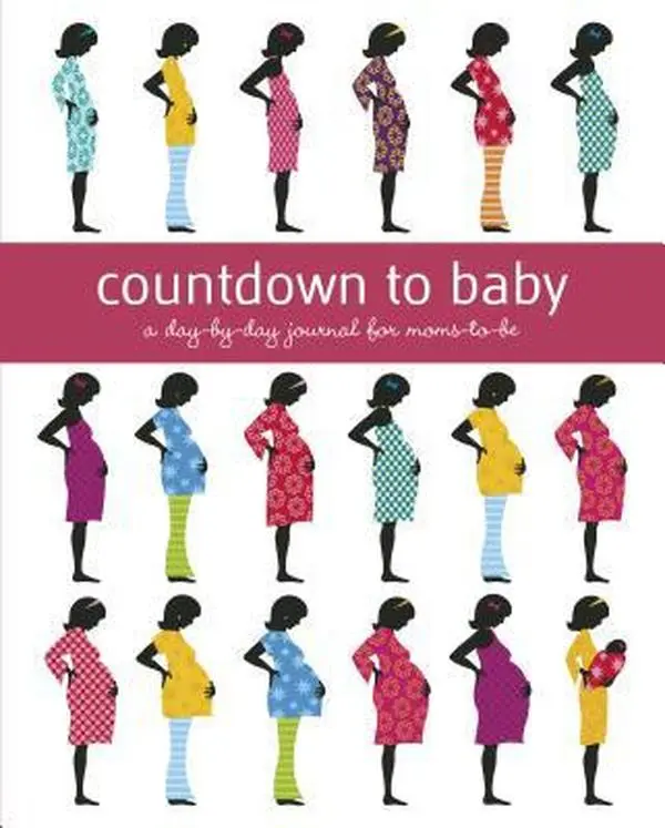USED-Countdown to Baby: A Day-By-Day Journal for Moms-To-Be by Chase, Aimee (Hardcover)