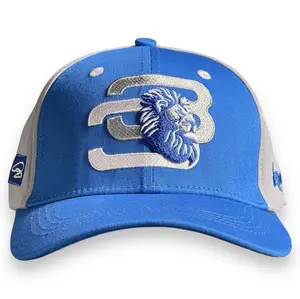 DETROIT NATIVE SIGNATURE "313" LIONS HAT