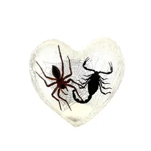 Spider and Black Scorpion Heart Display
