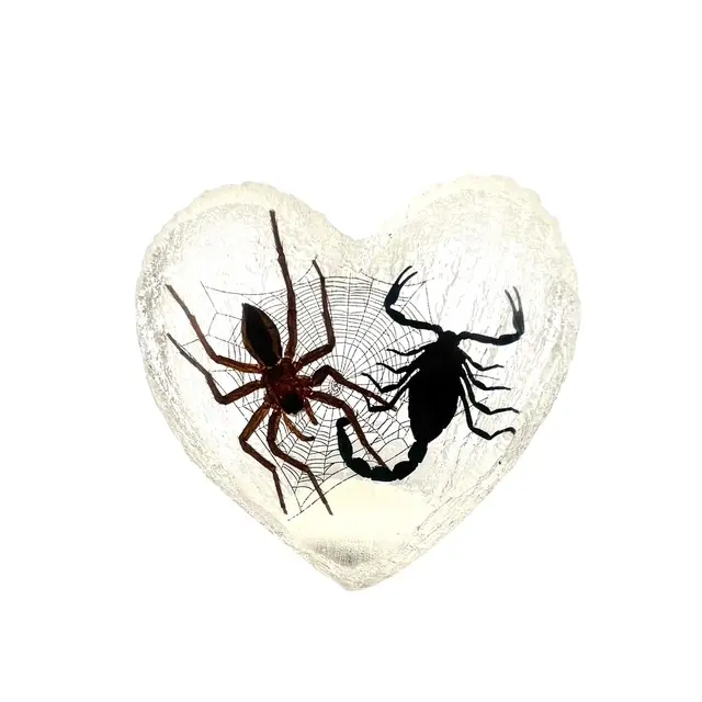 Spider and Black Scorpion Heart Display