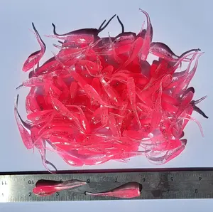 Shad Fry, Minnow Fry 2" length - Ice/Bubble Gum Flash (Clear/Pink w/pepper/silver glitter)