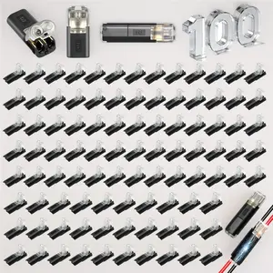 100 Pack 2 Pin Low Voltage Wire Quick Connectors Locking Buckle No Stripping Cutting Double Wire Plug Connector for LED Strip Light Home Wiring
