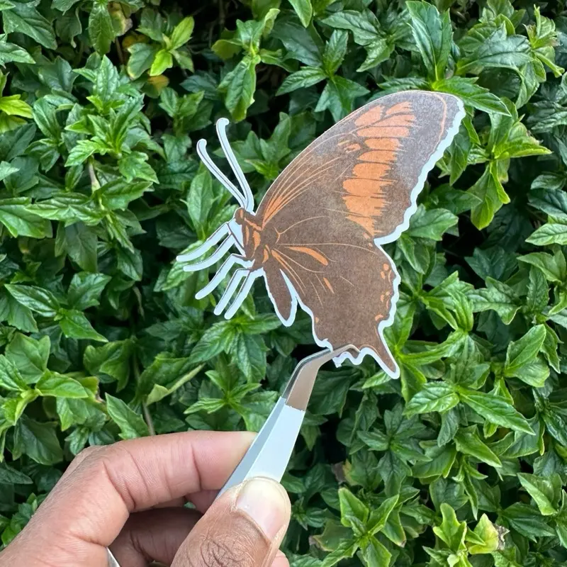 Mocha Mousse Butterfly Sticker Pack, Set of 5 Vinyl Stickers for Tumblers, Water Bottles & Custom Stickers
