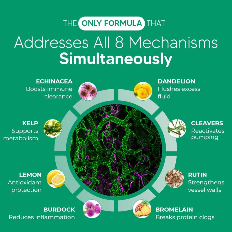 Sculptique Lymphatic Drainage Capsules - Antioxidant & Detox Binder Supplement - Supports Natural Lymphatic Cycle