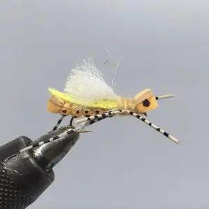 One Dozen (12) - White Cloud Hopper - Peach - Terrestrial