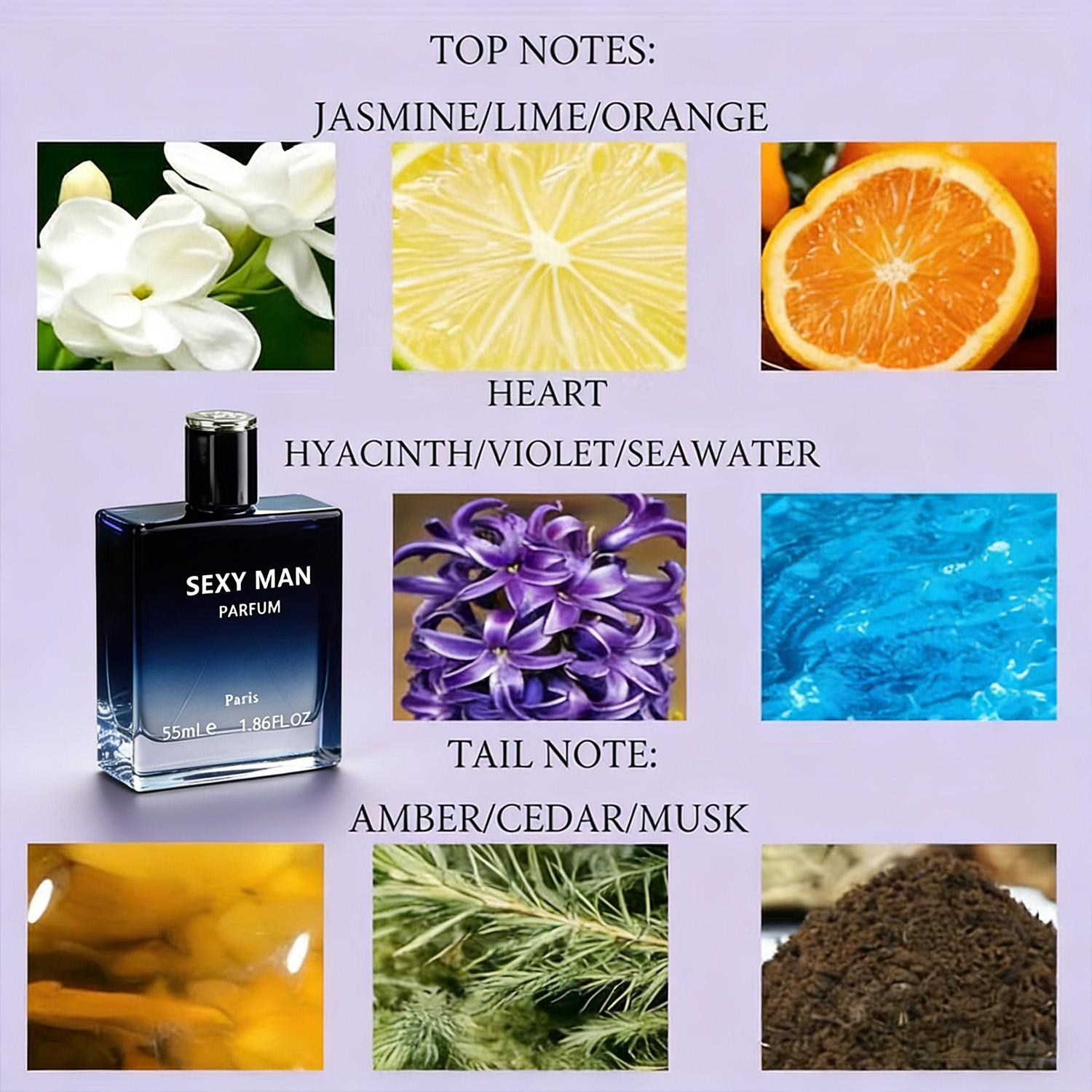 Men’s Ocean Fragrance, Luxury Perfume, 55 ml, Ocean Notes, Woody Aromatic Notes, Amber and Ebony, Signature Scent, EDP Spray, The Perfect Gift for Him