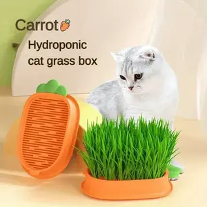 1pc New Pet Cat Sprout Dish Growing Pot Hydroponic Plant Cat Grass Germination Digestion Starter Dish Greenhouse Grow