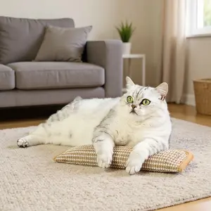 Catnip Pillow & Scratch Pad | Engaging Dental Health Toy for Playful Cats | Durable Chewable Catnip Treats for Feline Fun stuff Rotatable Double-Ended Pet Leash gadgets