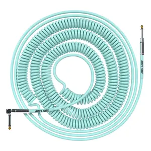 Bullet Cable 10/20 Seafoam Straight Coil Cable (30ft)
