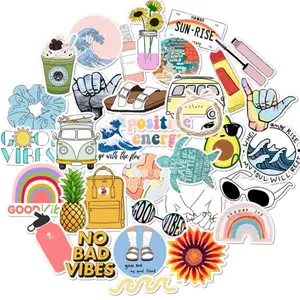 Vinyl Stickers for Water Bottle Suite Case Laptop Computer（35 Pcs) Waterproof Stickers, VSCO Girl Stickers Vinyl Sticker 35 UNIQUE FUNNY STICKERS