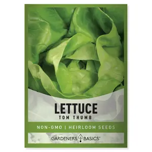 Tom Thumb Lettuce Seeds