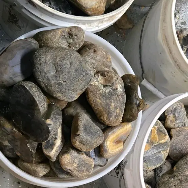 Mid Grade Montana Agates Mid Grade Montana Agates