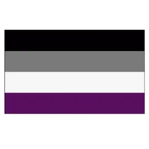 Asexual Ace Pride Flag 3x5