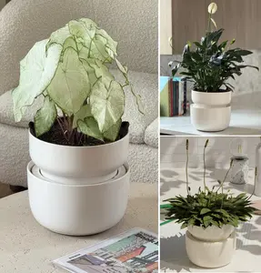 The Tendril Planter Bundle