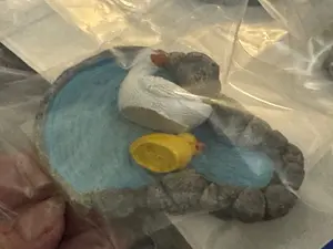 Pond with Ducks (variety)