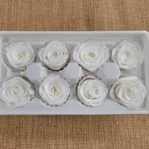 8Pcs White Rose, Rose Kanon Medium, preserved roses, wedding rose, Floral arrangements, boutonniere, preserved flowers,
