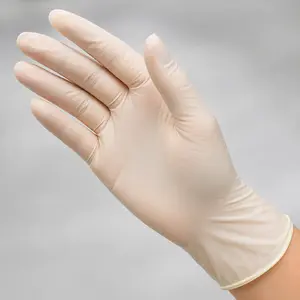 Large Powder-Free Latex Gloves - 1000/Case