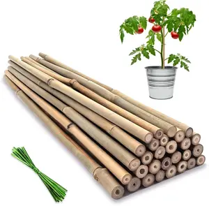 Plant Stakes,18 Inches Natural Garden Bamboo Sticks, 20Pcs Plant Support Stakes for Tomatoes,Beans,Vegetable and Potted Plants