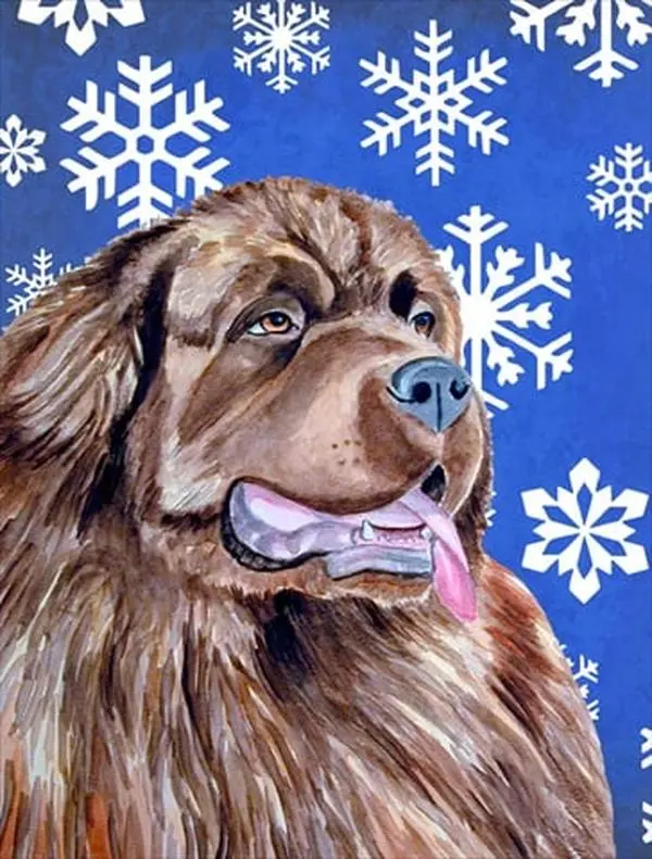 11 x 15 in. Newfoundland Winter Snowflakes Holiday Garden Size Flag
