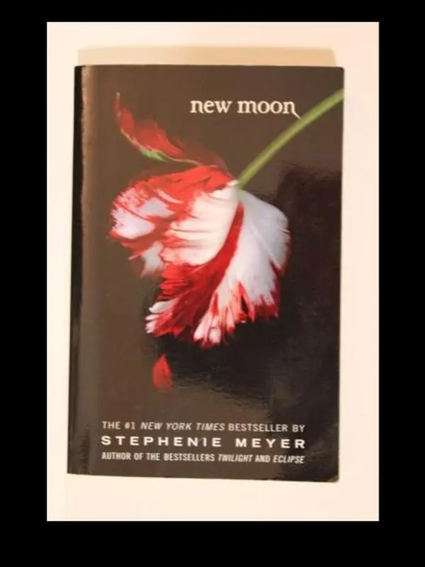Little, Brown New Moon The Twilight Saga Fascinating Vampire Romance for Teens Add to cart Buy now Fantasy Novel with Action, Drama, and Love Story