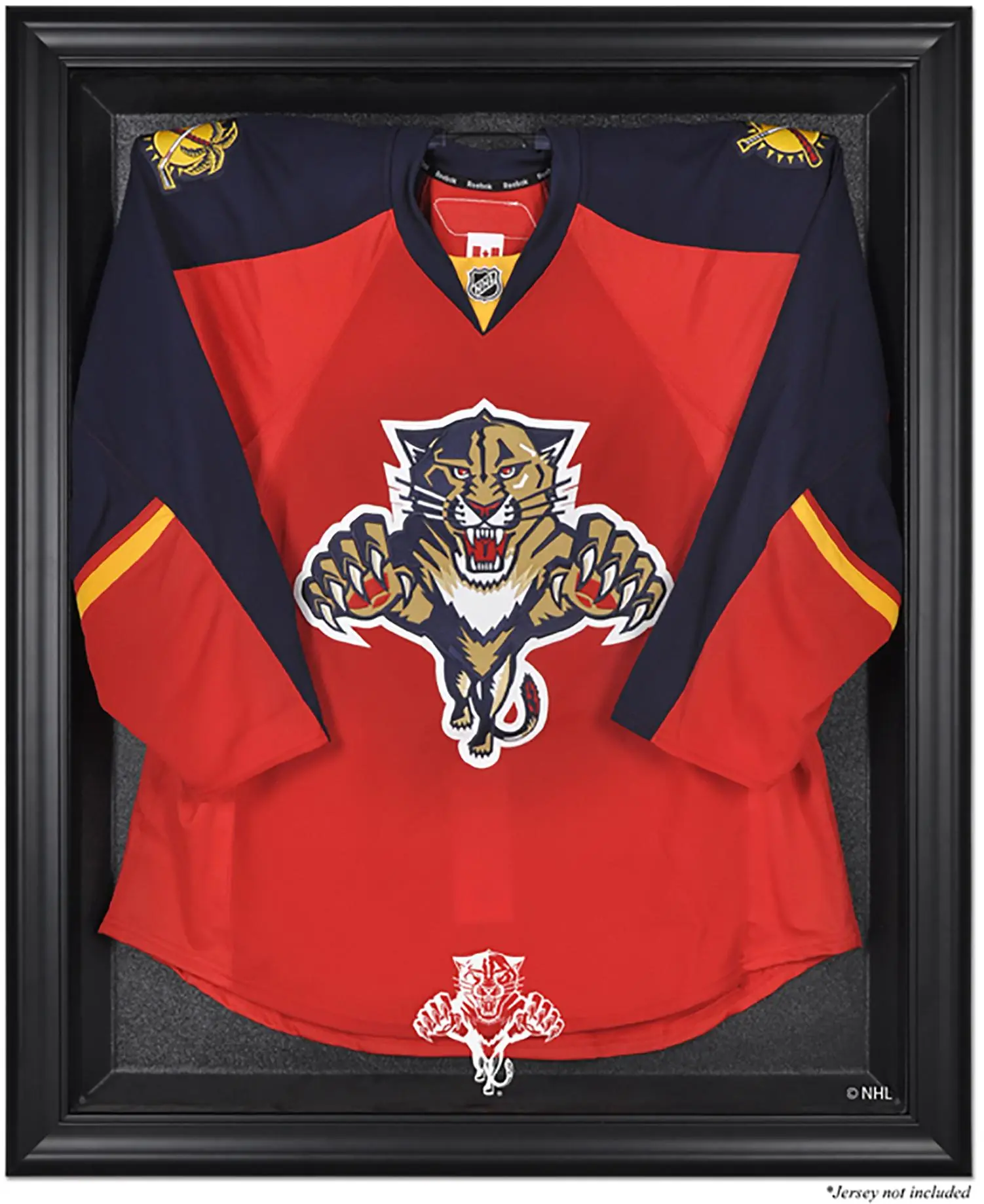 Florida Panthers (1993-2016) Black Framed Logo Jersey Display Case - NHL Memorabilia