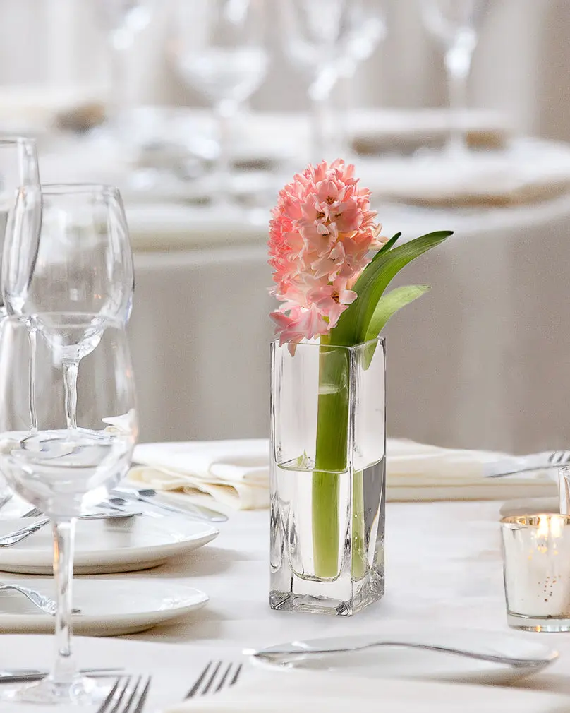 Square Glass Vases, 2" Square & 6" Tall, Set of 4