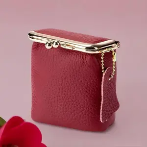 Vintage Genuine Leather Mini Handbag Organizer with Secure Kiss Lock, 1 Count Spacious Coin  &  Earphone & Lipstick Case, Travel Cosmetic Pouch, Makeup Organizer Pouch