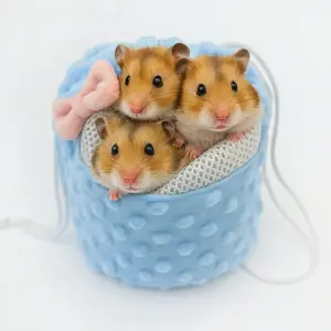 Breathable Mesh Hamster Honey Bag with Butterfly Knot Drawstring, Small Pet Outdoor Accessory, Comfortable & Durable Design
